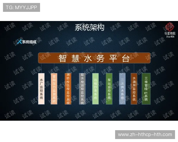 西甲联赛的青训系统与未来之星