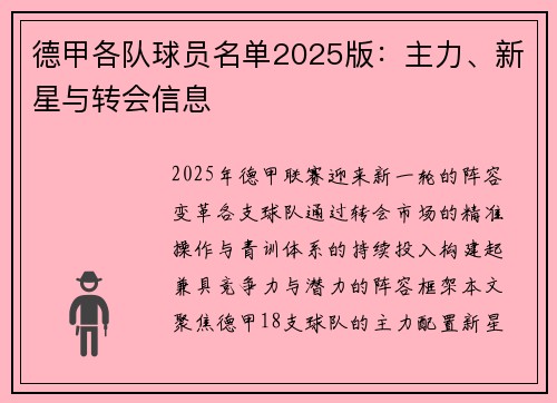 德甲各队球员名单2025版：主力、新星与转会信息